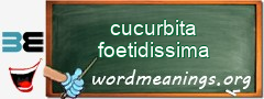 WordMeaning blackboard for cucurbita foetidissima